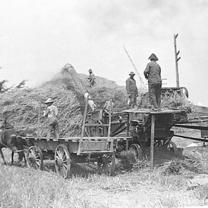 Farm & Barnyard Life: 1910-1912 Roebuck Glass Plate Negative Print Collection