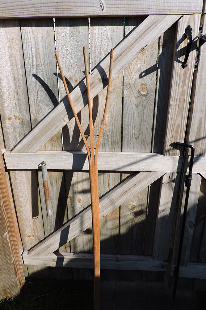 Vintage Wooden Three-Tine Hay Fork, One-Piece Riven “Finger Fork” with Pinned Spacers