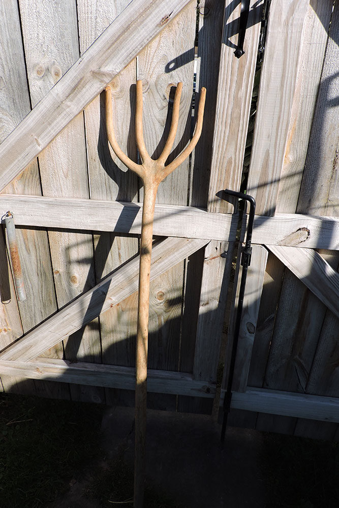 Antique Natural-Growth Wooden Four-Tine Hay Fork, Hand-Shaped from a Single Branching Limb